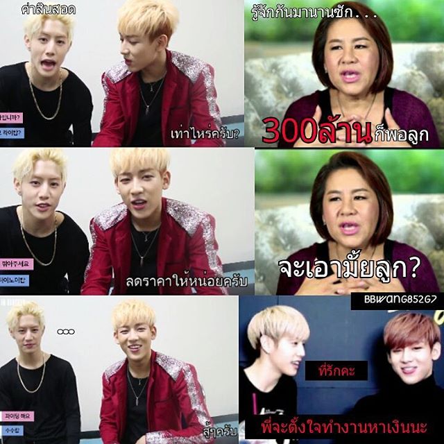 นกของกัซ(MB) tweet media