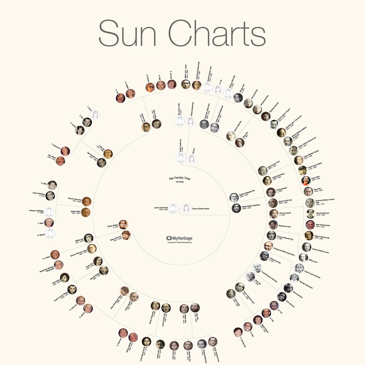 Descendant Fan Chart