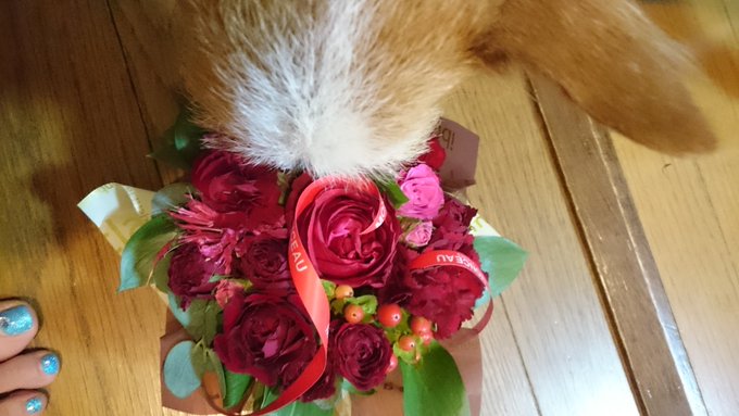 加瀬あゆむ(ayumu Kase)’s pics and videos