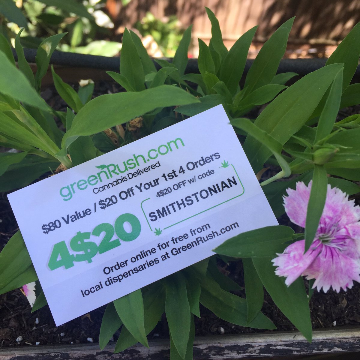 CannaNative707's tweet photo. Use my code "SMITHSTONIAN" on https://t.co/L8U0mI59Wk for $80 in FREE #weed #cannabis #mmj https://t.co/jkEHRoYTah