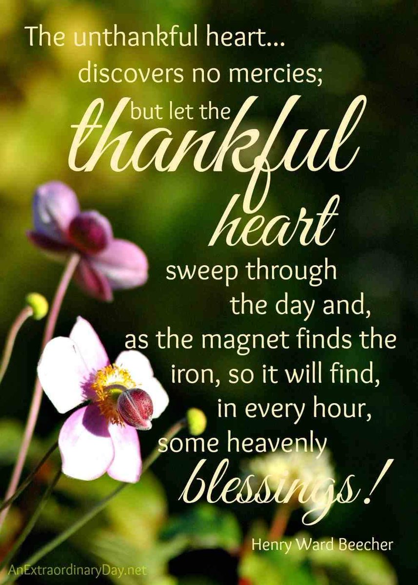 #ThankfulHeart
#HeavenlyBlessings 👱💜😊🌈