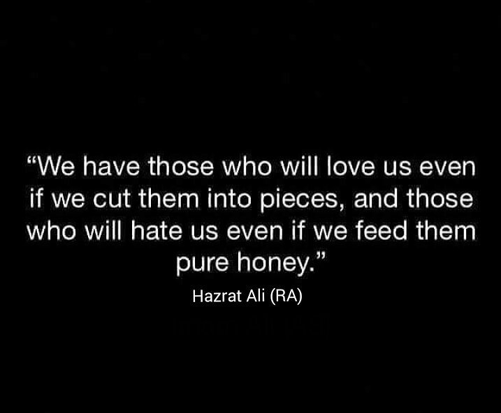 Halal_Banter's tweet photo. https://t.co/UHtKvj2RPP