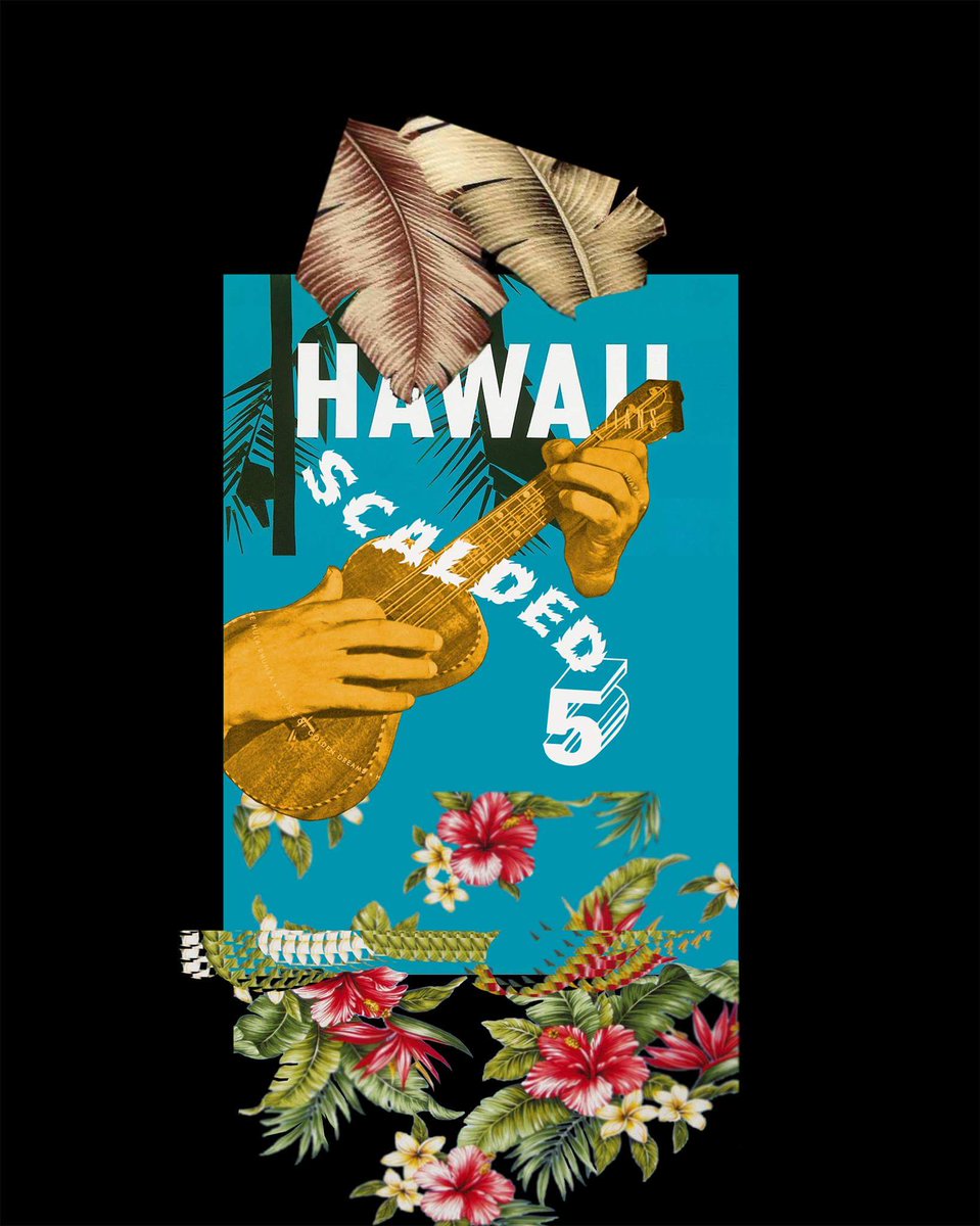 HawaiiBarTO's tweet photo. Sat June 25th 9pm @HawaiiBarTO presents Dj Grump. Surf Garage Funk Blues Psych Bubblegum Rap Indie Disco &amp; A Parrot https://t.co/ez7IPdIPJw