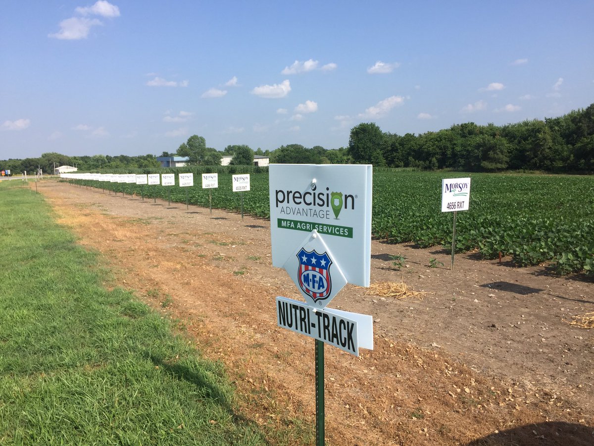 Matt Stock tweet media