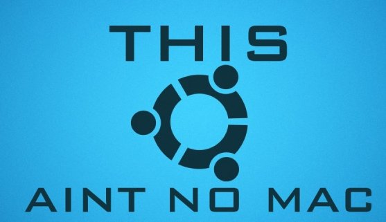 philippeback's tweet photo. #tmux and #tpm + #vim and #Vundle = a match made in heaven. On #Linux of course. https://t.co/M7hs6QEVry