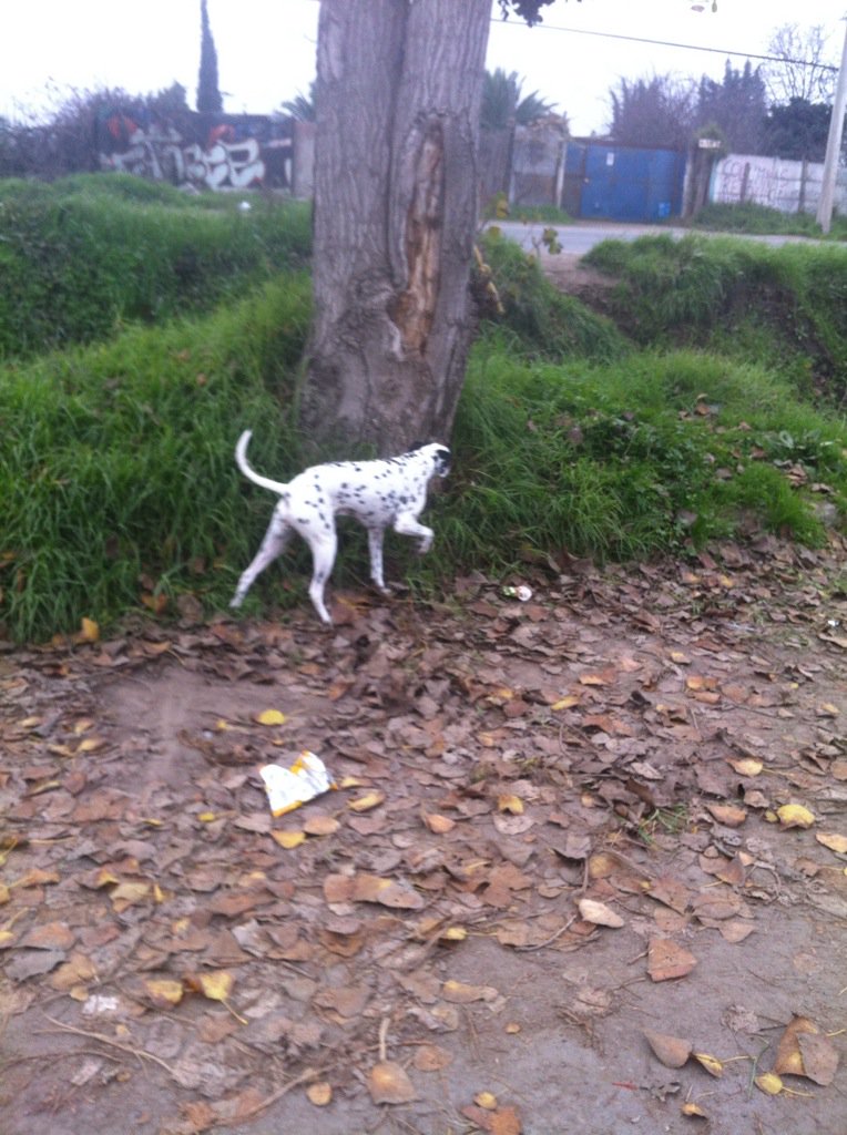 Marisel Farias tweet media