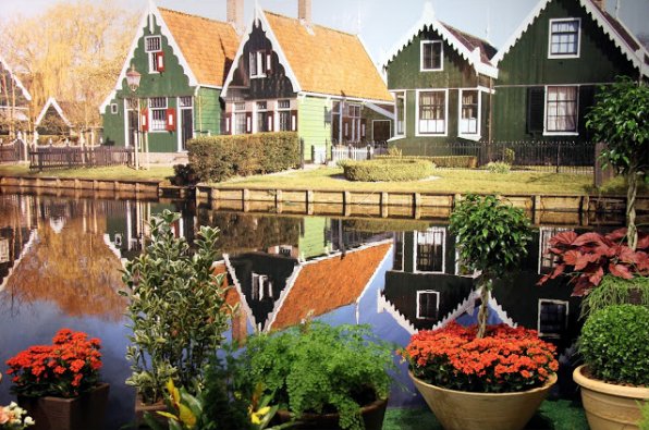 No, it's not in Europe, it's in BRAZIL. Holambra city, São Paulo state. Founded by Dutch immigrants. Eternal spring