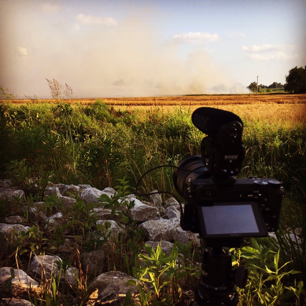 Bearded Servant tweet media