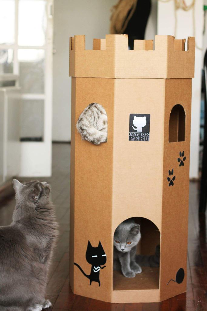 CatBoxPeru's tweet image. "Pasión por lo que hacemos"