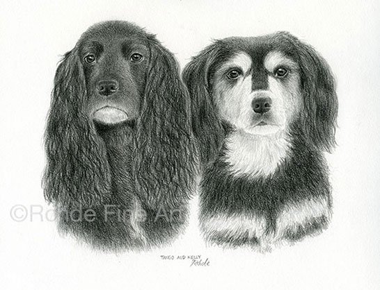 "We can judge the heart of a man by his treatment of #animals." -- Kant #Dogs #AdoptDontShop RohdeFineArt.com