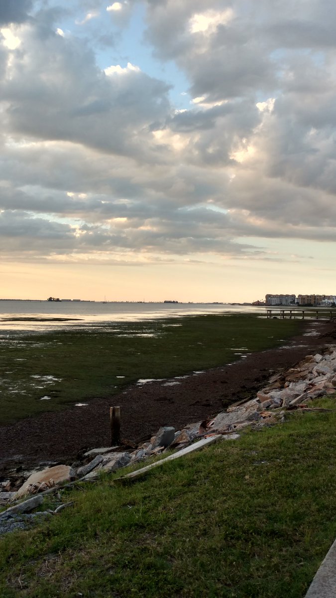 CynthiaZygadlo's tweet photo. Great view in the interminable quest for #steps #pdrSC #LowTide #BigSky https://t.co/DGYx1ir5Ht