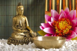 TrainingMindful's tweet photo. "Mindfulness #Meditation for Beginners" https://t.co/znKKaZW2Ri #relax #mindfulness #serenity #calm #stress https://t.co/XI5mjrtM5M