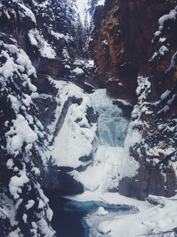 CollegeTourist's tweet photo. Why You Should Consider the University of #Calgary For Your Semester Abroad https://t.co/N3CC2gDEB6 https://t.co/MZt0IjOz0S
