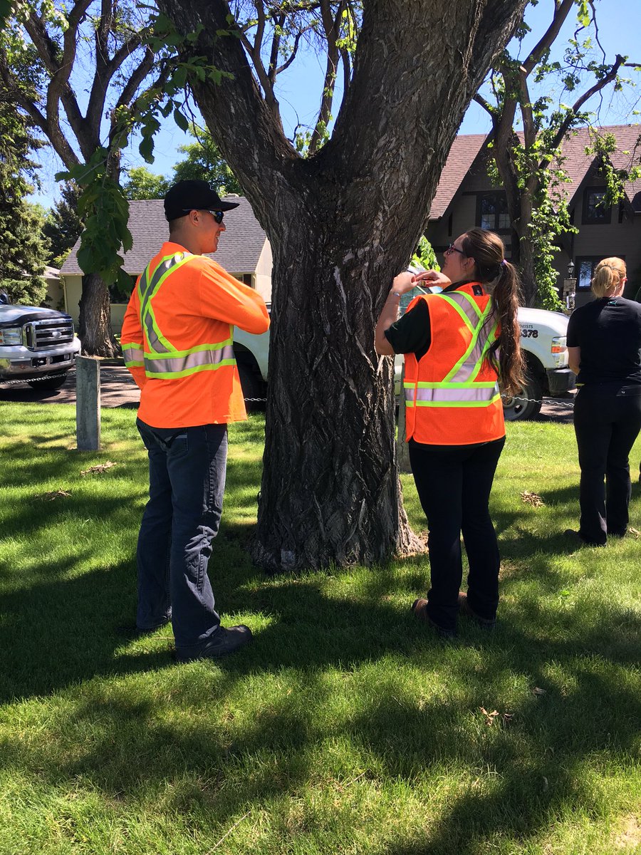 ArborCareCanada's tweet photo. Our crews got trained on TreeAzin today in lethbridge. Very excited about using this @BioForestTech product! #yyc https://t.co/KcXvhv1lWW