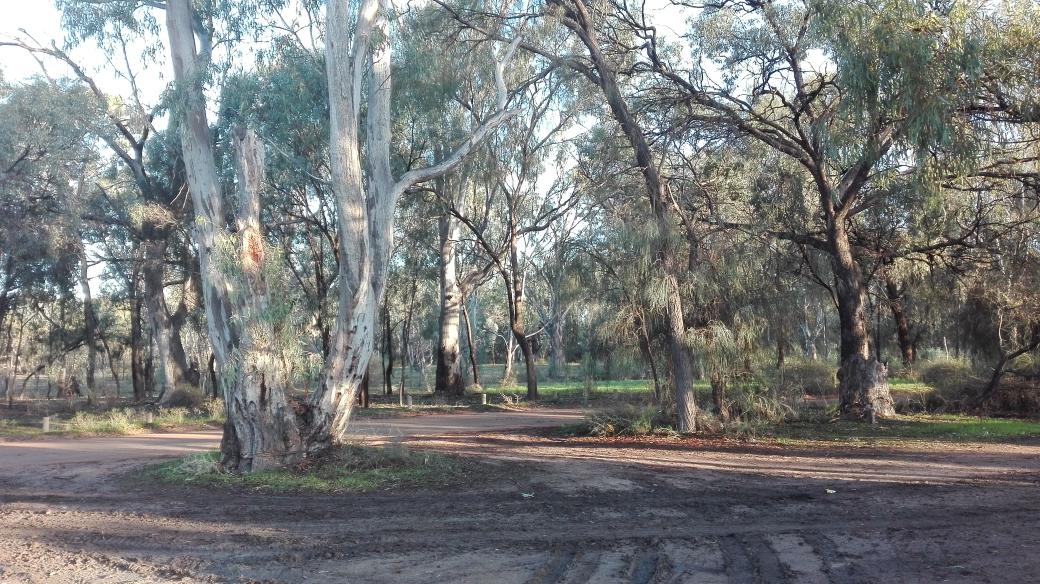 On the way to #mildura and #nyah