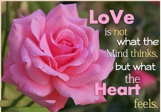 SoftwareMass's tweet image. #Love is not what the mind thinks, but what #heart #feels.
