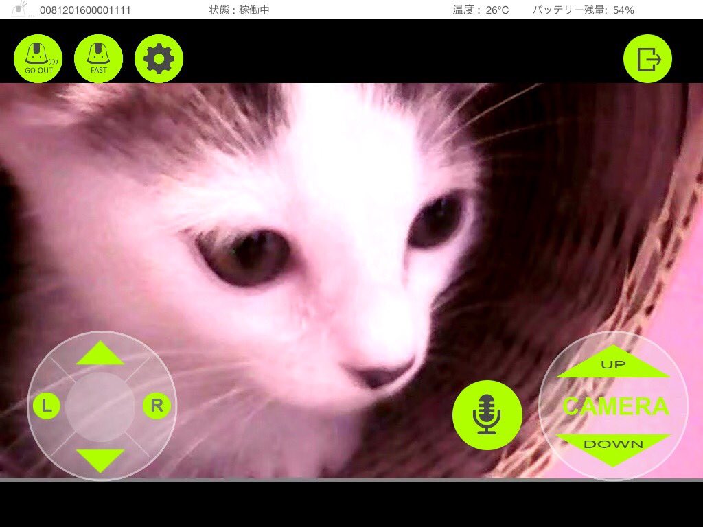 ilbo_taro's tweet photo. 「おとなのねこ展2」最終日です(^-^)
#ilbo #IOT #カメラ #Room375 #ネコ #愛猫 https://t.co/d4YATbN8on