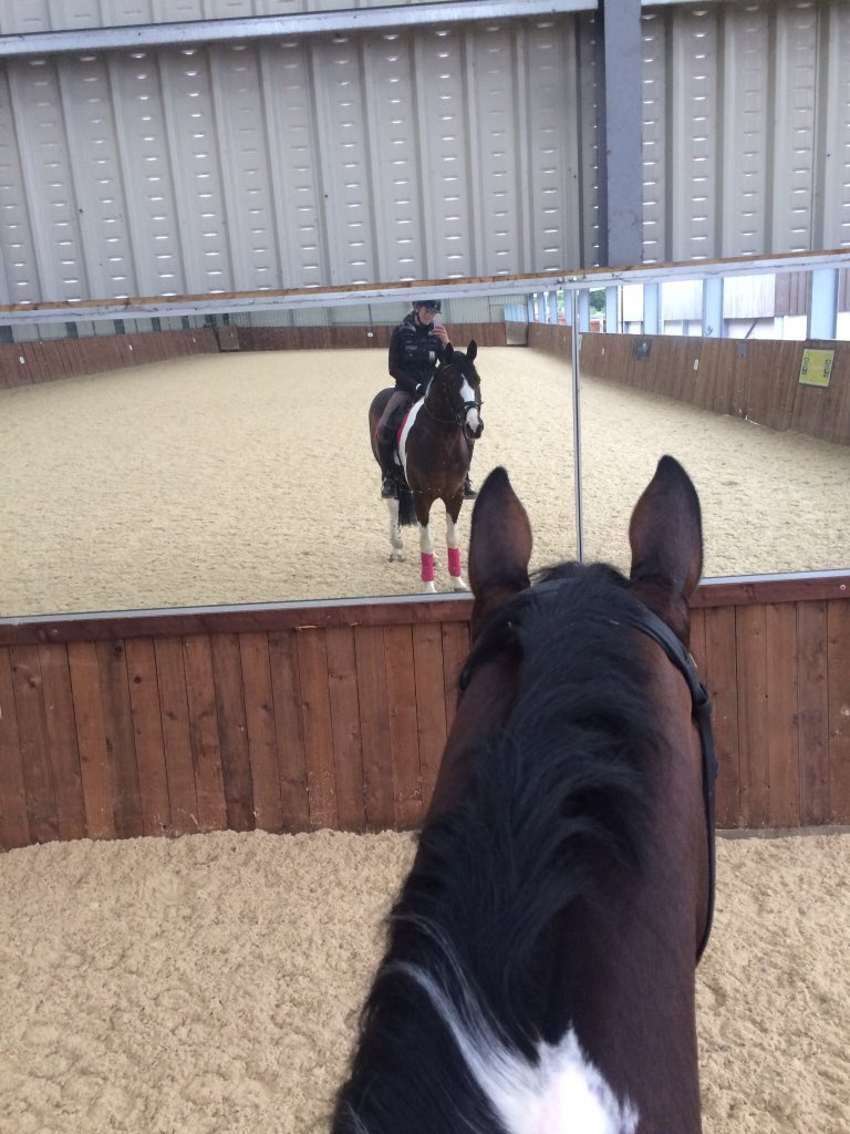 ClaireDeuten's tweet photo. Looking for anew yard? #livery #competition #indoorschool #outdoorschool #solarium #washbox #friendlyyard #sandpen https://t.co/Kqk5KQZduZ