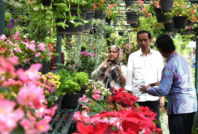 Happy B'day bapak <a href="/jokowi/">Joko Widodo</a> semoga slalu dalam lindungan allah,,semakin sabar menghadapi rakyat INDONESIA,,merdeka