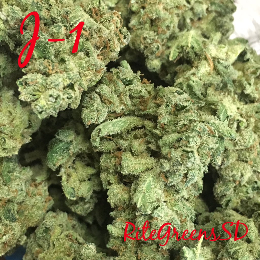 RiteGreensSD's tweet photo. #j1 #topshelflife #sativa #keeponswimming #helloheat #sandiego #prob215 #ritegreenssd #rgsd #rgsd420 (619)753-5012 https://t.co/cvJVemYg0s