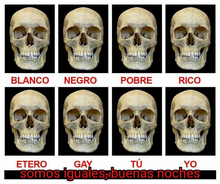 @floydu2 <a href="/CelesteSaenzM/">Celeste Sáenz</a> <a href="/margaritamagos2/">maria margarita mago</a> <a href="/LuzMariaAlba/">LuzAlba</a> <a href="/oviperal/">ovidio perez almazan</a> <a href="/Al_Ruiiz/">Alberto Ruiz Orcí</a> <a href="/RubenVando/">ruben vando</a> <a href="/HectorArellan0T/">🇲🇽 Héctor Arellano T ツ 🇲🇽</a>