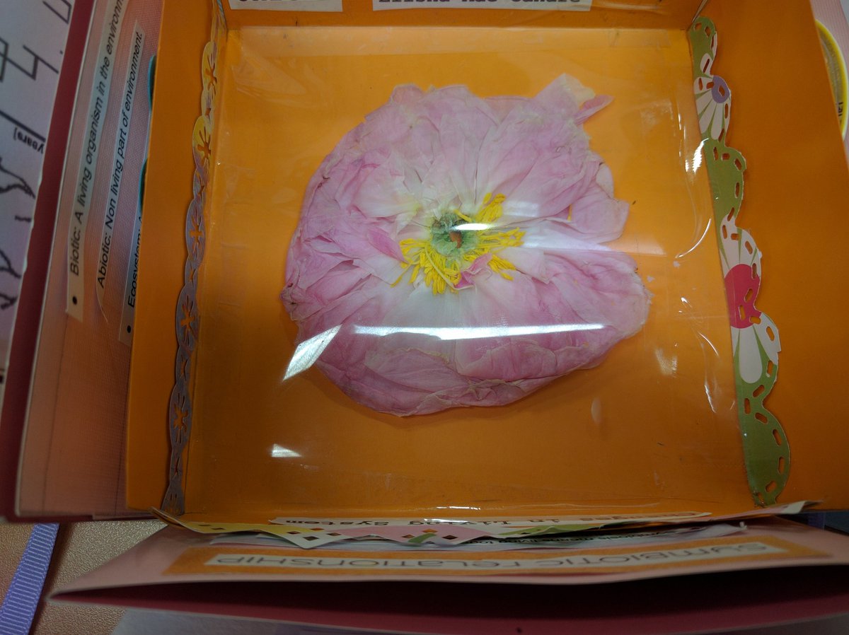 jjrobins's tweet photo. Review Gift Box? Academic Present?I need a name for this gr. 10 learning strategies project. It's awesome! https://t.co/erPw7NRVJ8