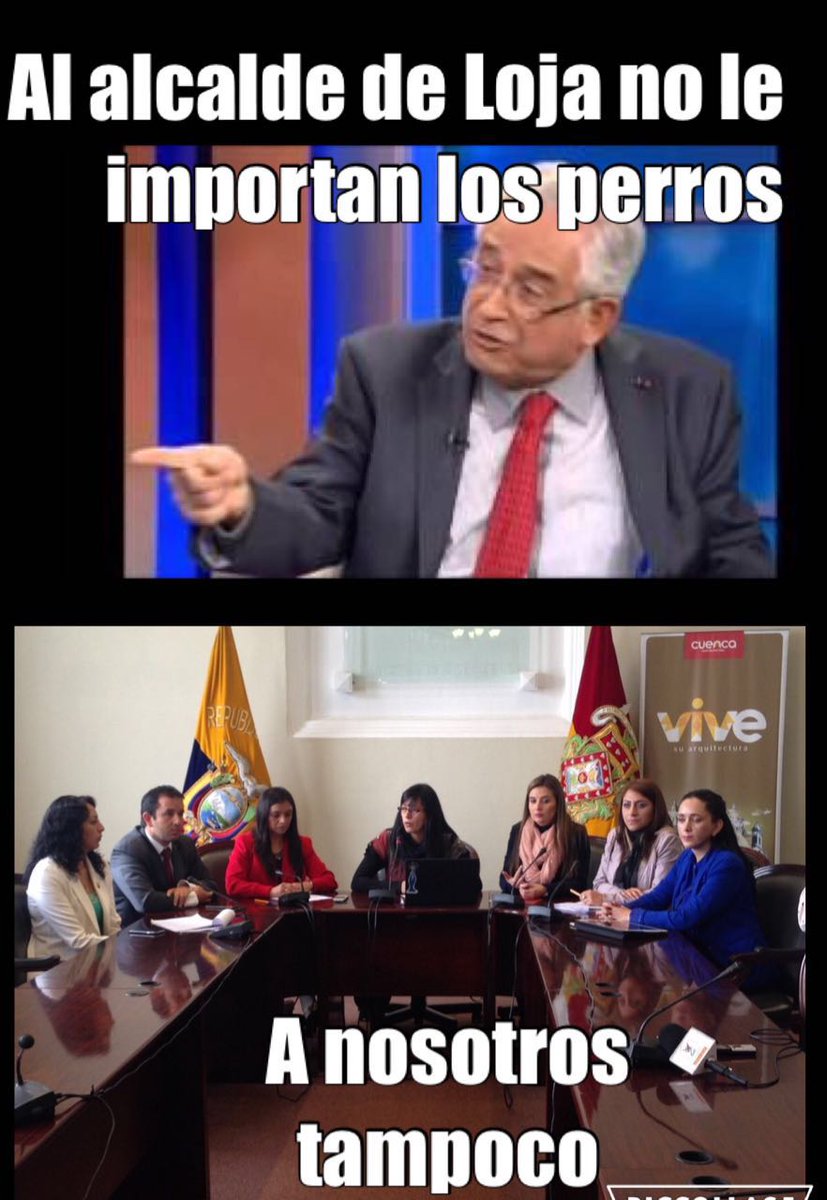 #CuencaSinTorosNiGallos #OrdenanzasAnimalesCuenca <a href="/AVAstudillo/">Alberto Astudillo B.</a>