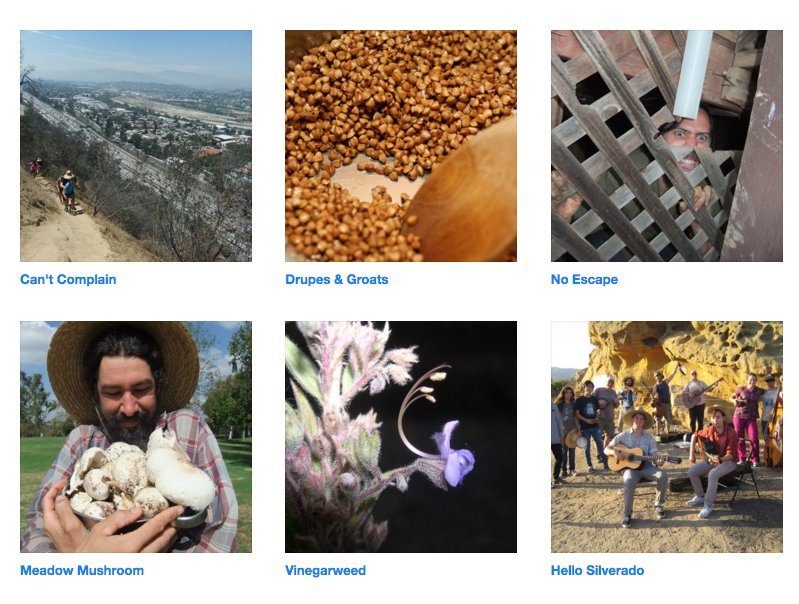 naturalist4you's tweet image. Check out my latest song!  naturalist4u.bandcamp.com #BeTheChange #EmpoweredConsumer #rewilding #barefootsummer #FOLK