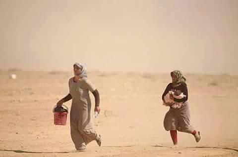 sakharff's tweet photo. #اوقفوا_الابادة_الايزيدية
#نحن_مع_الايزيديات
#StopYazidiGenocide
#StandforYazidiWomen https://t.co/6vZgSZznnR
