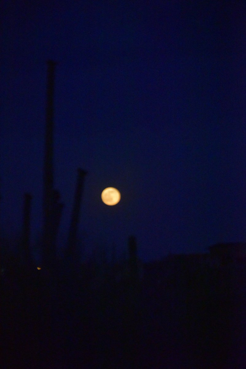 LeavittTPD's tweet photo. Strawberry moon on the summer solstice.... https://t.co/yTVeWW2ymm