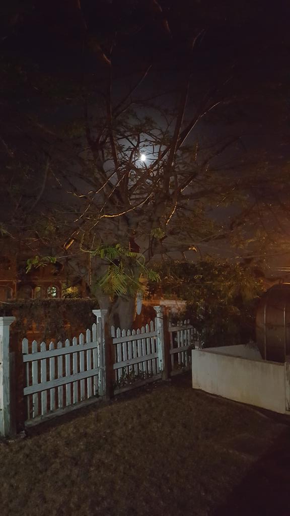 RaymondPryce1's tweet photo. That #Moon though... if ever there was a night for #RollingCalf where the cream soda and croton leaf deh tho #Jesus https://t.co/p92FBEQX0D