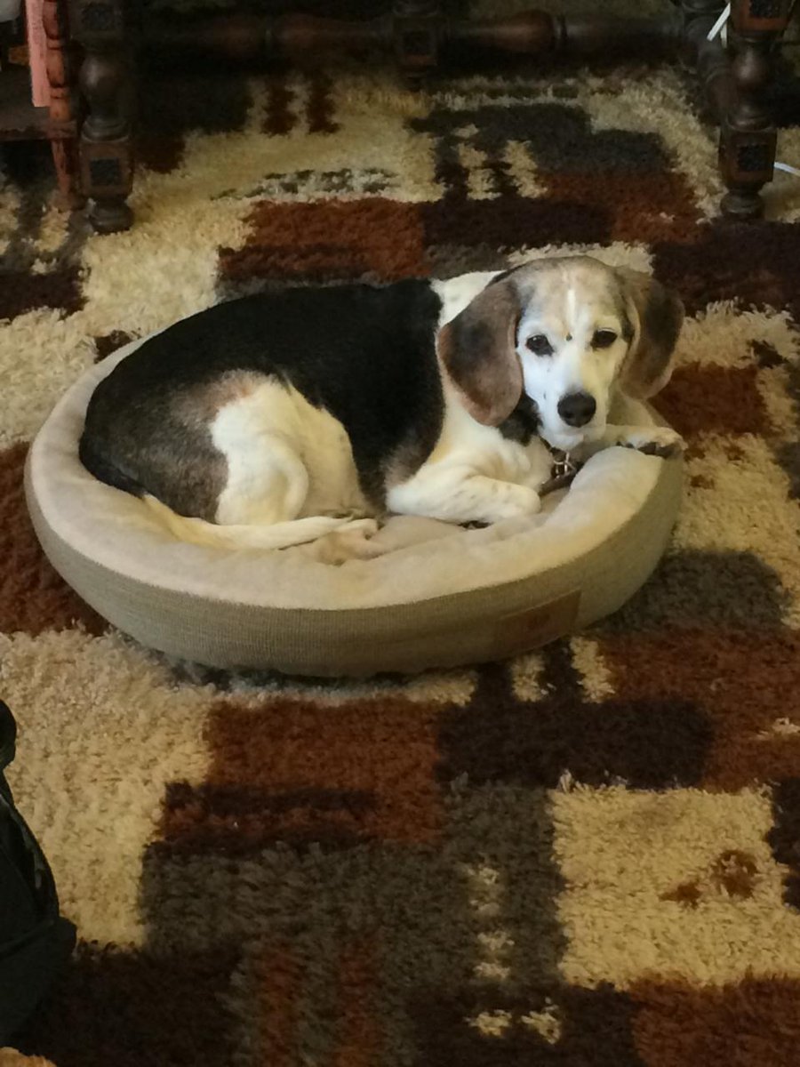 M. Grace Cantwell tweet media