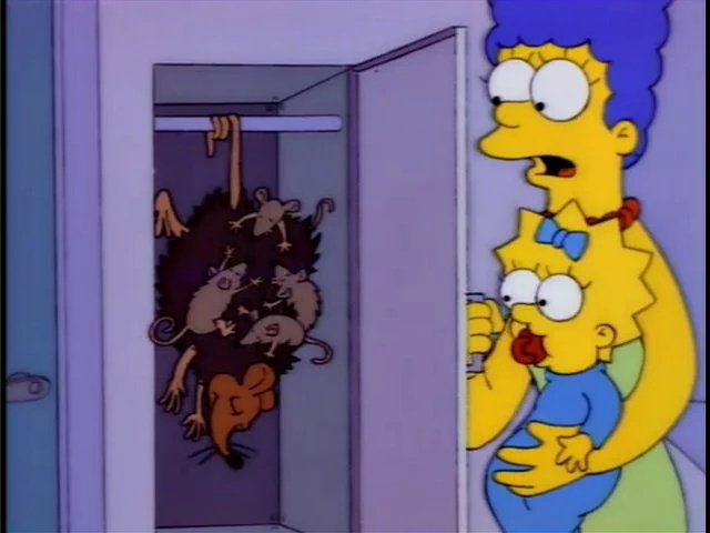 HOMERO_SlMPSON's tweet photo. -Homero aquí hay una familia de zarigüellas! 
-A la grande le puse cuca #PelículasConTlacuache https://t.co/ybwBuMusdu
