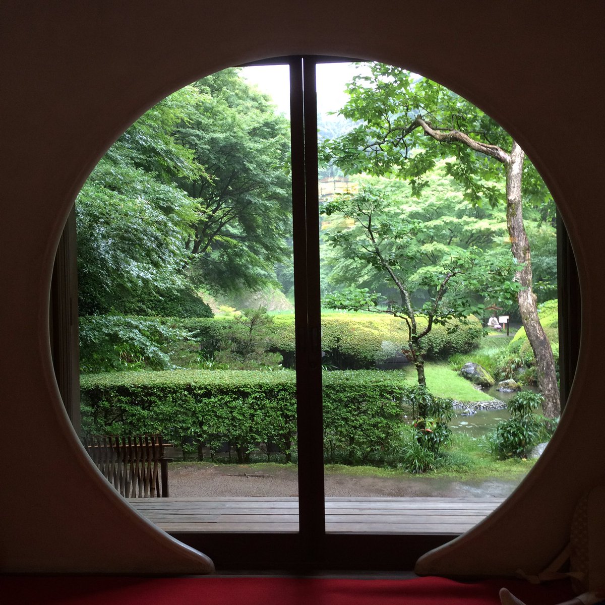 jupiter0092's tweet photo. 明月院！きれいだなー（≧∇≦） https://t.co/DT5Bwzjd6u