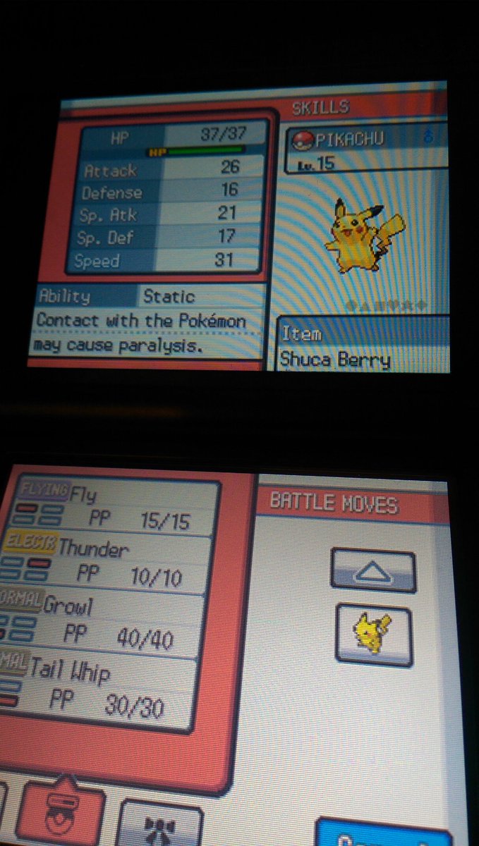 Xhjon's tweet photo. @Xhjon #Pokemon #PokemonHGSS #Pokewalker #Pikachu #YellowForest https://t.co/bmWwnbmScU