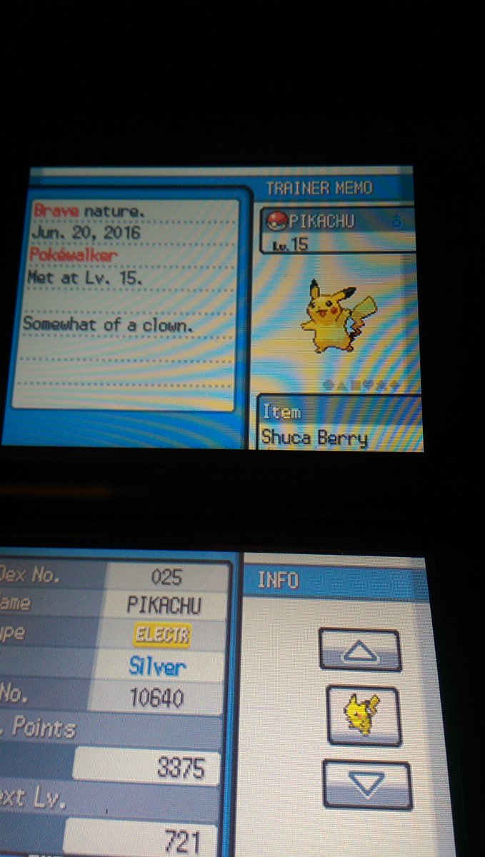 Xhjon's tweet photo. @Xhjon #Pokemon #PokemonHGSS #Pokewalker #Pikachu #YellowForest https://t.co/bmWwnbmScU