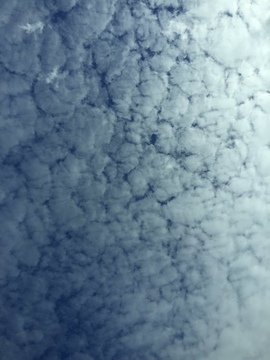 sandy_carter's tweet image. Innovative people don't care about who's right, they care about 'what's right.' #quote