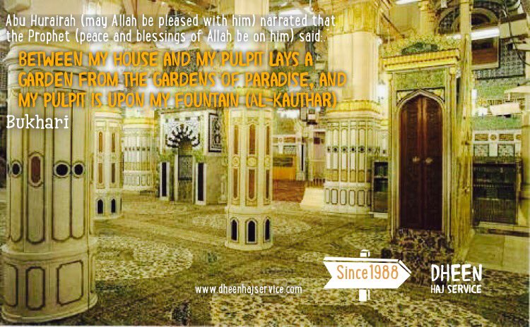 Dheenhaj_india's tweet photo. #Garden in #Madinah the Garden From #Paradise #masjid #nabavi https://t.co/2ncZX0ESZF