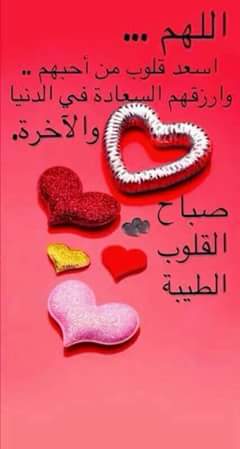 وردة الريحان (@sohaybe20161) on Twitter photo 