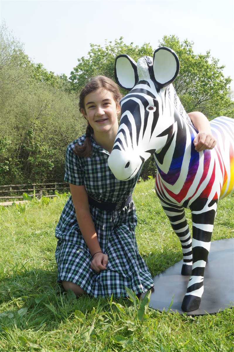 ZanyZebras2016's tweet photo. Stroud School King Edward VI Prep School would like to introduce ‘Serengeti Sunset’, designed by Jess in yr 7 https://t.co/jOiIdVvWL2