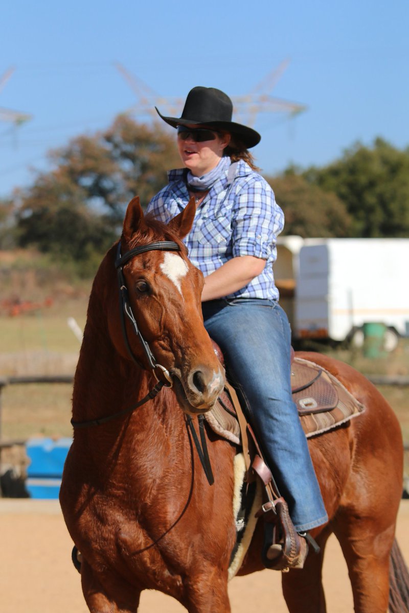 ReniceDeGroot's tweet photo. My wonderfull OTTB who is almost ready for the WestFest2016 in 2 weeks. https://t.co/LGIZdketsv
