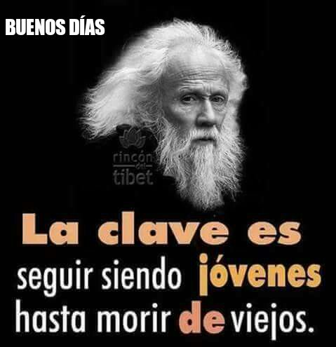 @floydu2 <a href="/CelesteSaenzM/">Celeste Sáenz</a> <a href="/margaritamagos2/">maria margarita mago</a> <a href="/LuzMariaAlba/">LuzAlba</a> <a href="/oviperal/">ovidio perez almazan</a> <a href="/Al_Ruiiz/">Alberto Ruiz Orcí</a> <a href="/RubenVando/">ruben vando</a> <a href="/HectorArellan0T/">🇲🇽 Héctor Arellano T ツ 🇲🇽</a>