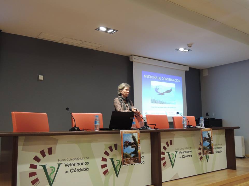 controldeaves's tweet photo. Presencia en las Jornadas de #Aves #Rapaces: #Cetrería, #Conservación y #Sanidad, organizadas por #AVAFES-Córdoba. https://t.co/sUfQeP07nD