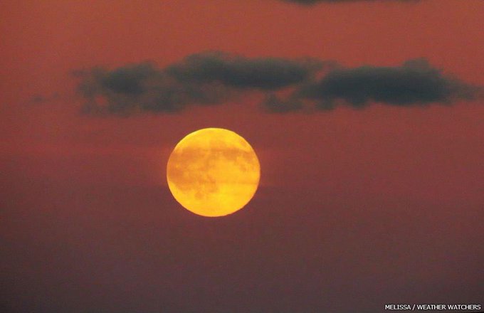 Посмотреть изображение в Твиттере Посмотреть изображение в Твиттере