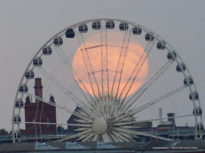 Посмотреть изображение в Твиттере Посмотреть изображение в Твиттере