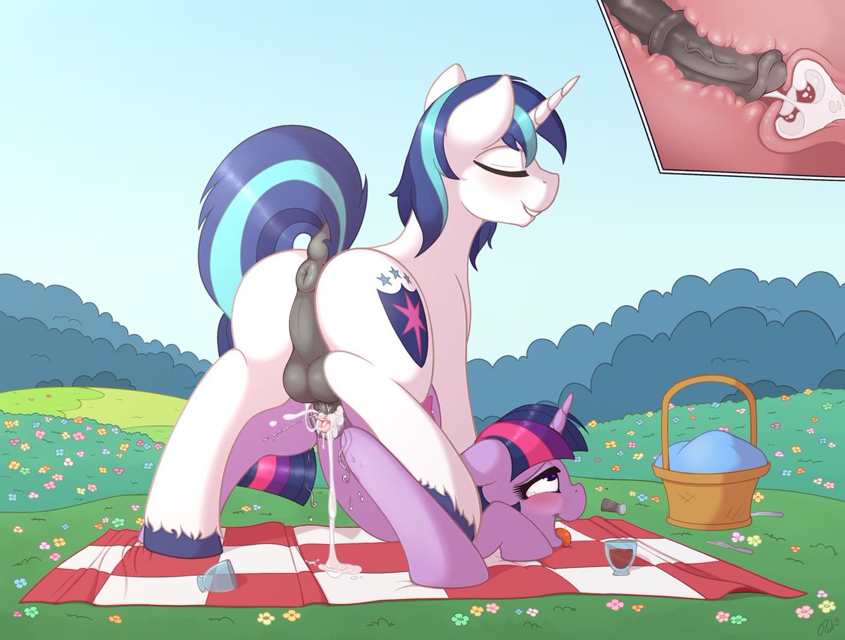 Mlp Shining Armor Porn - Cloppermania ðŸ”ž on Twitter: \