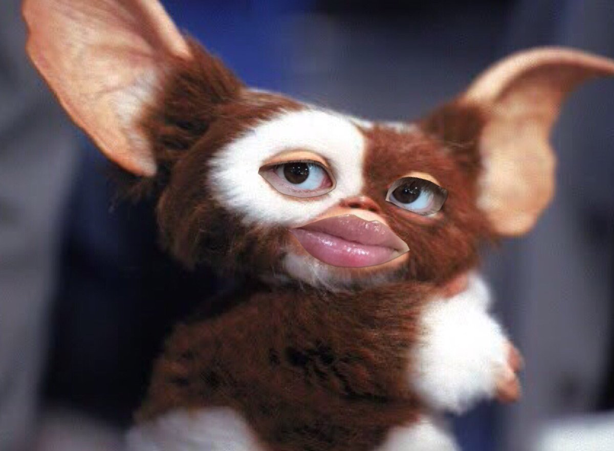 ギズモ Gizumobot Twitter