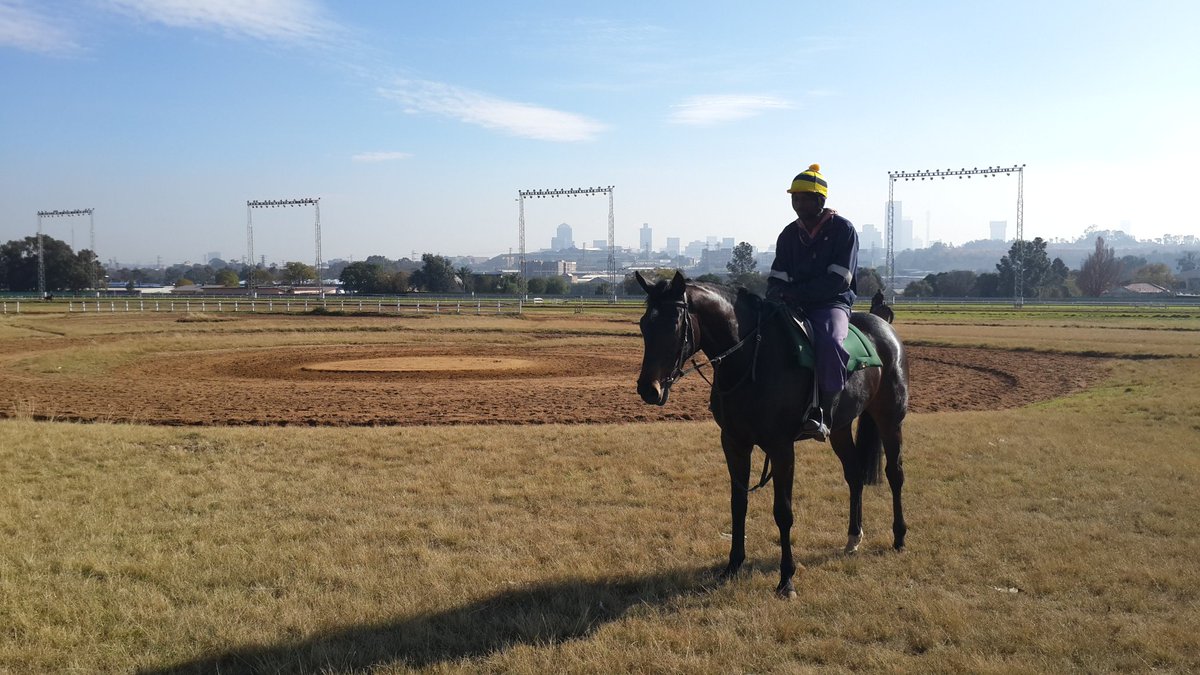 CasinoFillySAf's tweet photo. Striking my best supermodel pose this morning at the track #MoveOverKateMoss https://t.co/JvMtJ45wEd