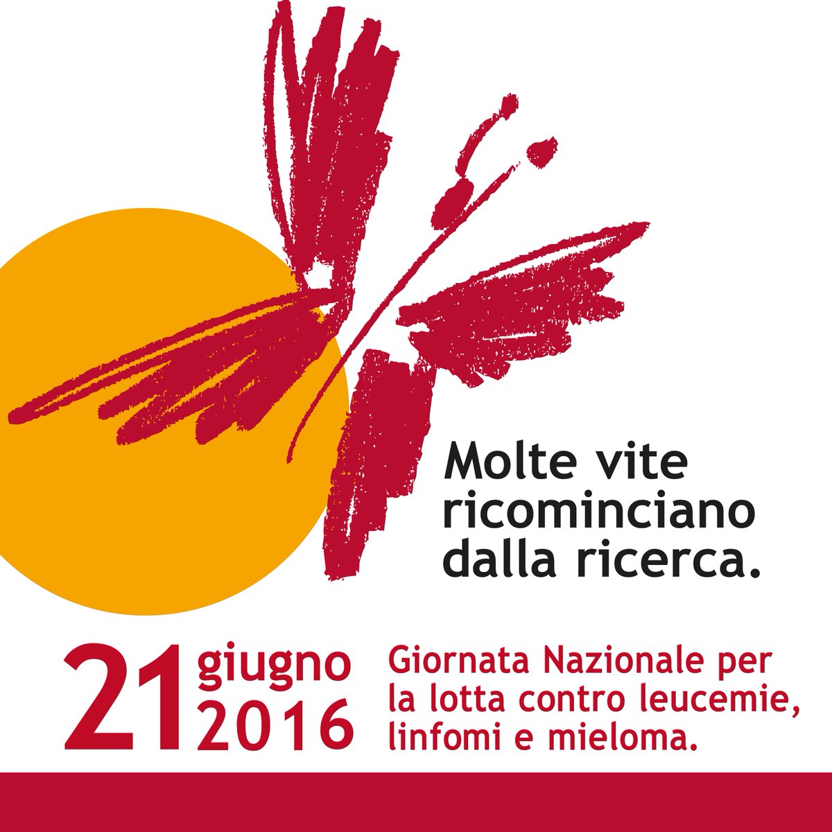AIL_ets's tweet photo. Oggi è la #giornatanazionale contro le leucemie, i linfomi e il mieloma. Scopri di più su https://t.co/TxlGGvFe0C https://t.co/1Nx9VAKo3g