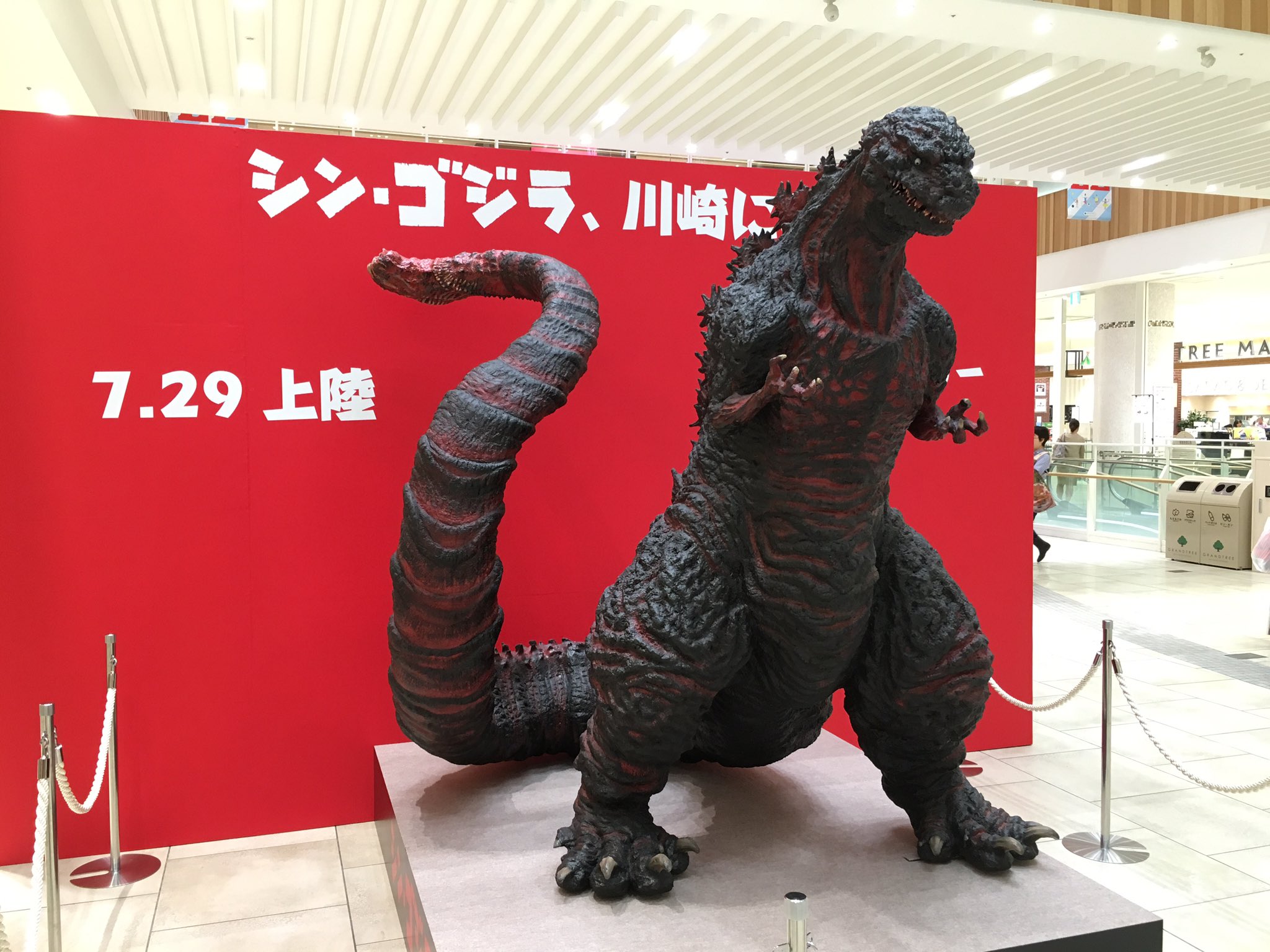 ゴジラ в X: „#シンゴジラなう 巨大フィギュアを展示中！ 近日中